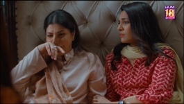 Mere Damad - Episode 22